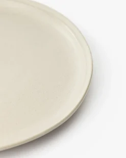 Aiden Soft Gray Dinner Plate