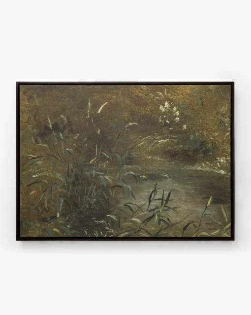Bank Grasses
