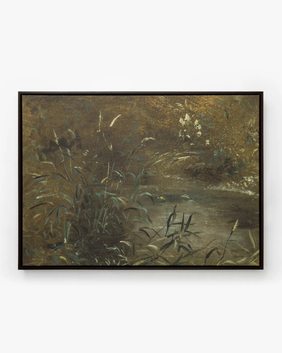 Bank Grasses