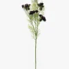 Burgundy Cosmos Stem
