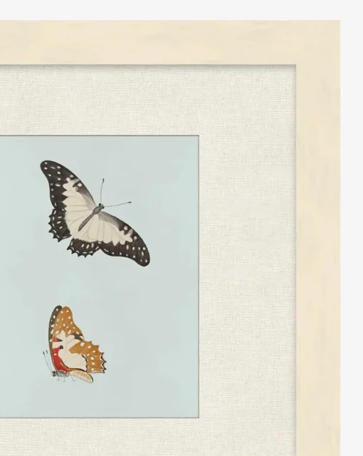 Butterflies Study II
