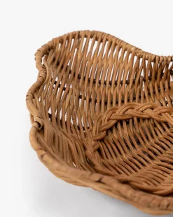 Concha Dish