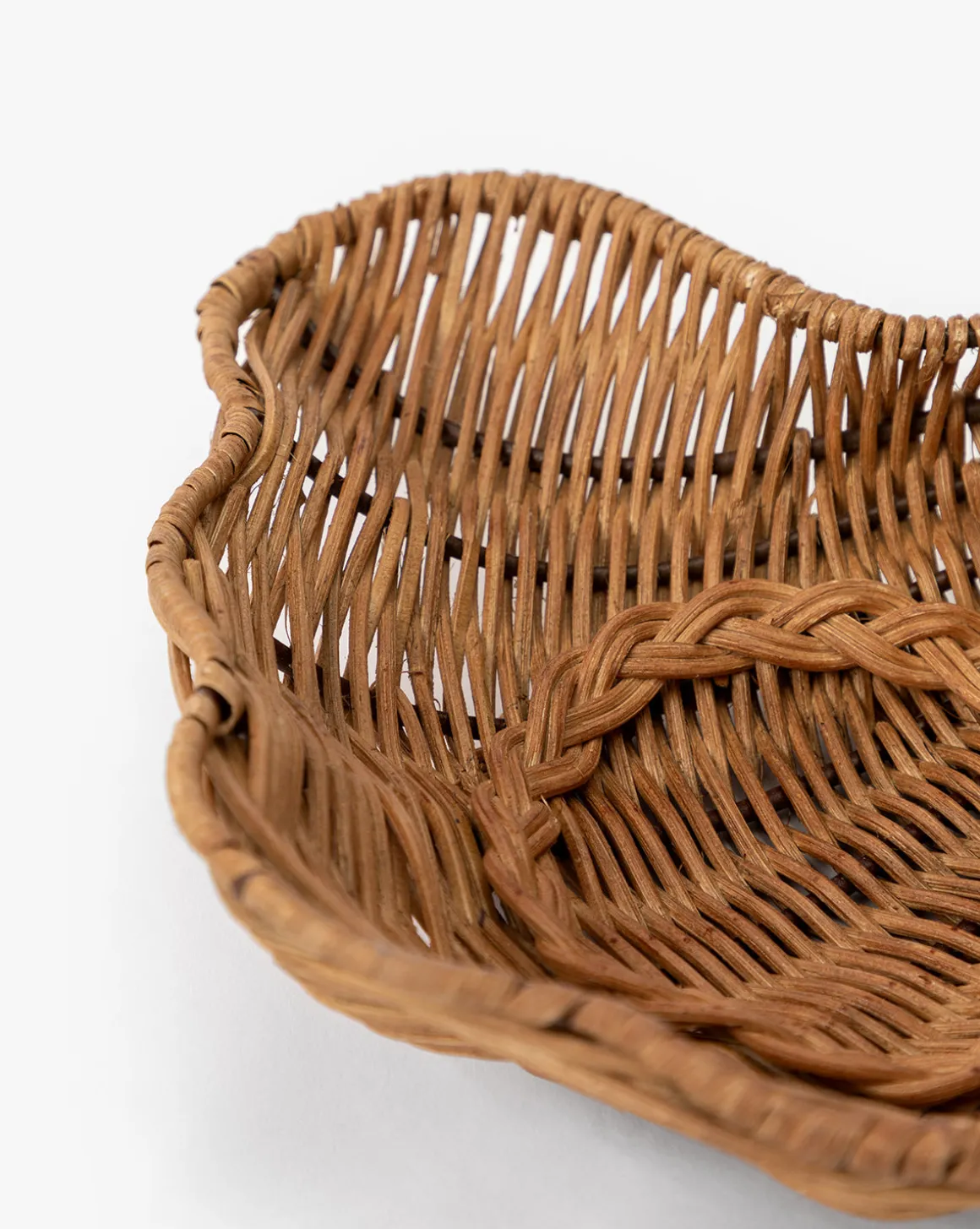 Concha Dish
