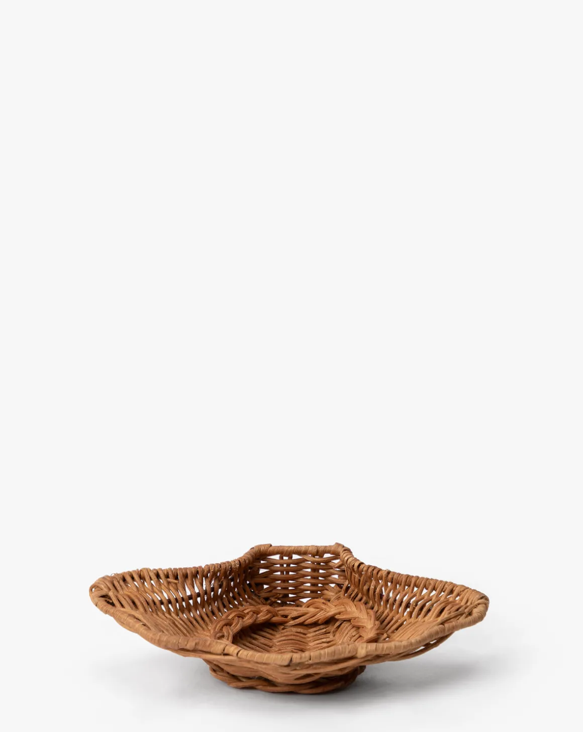 Concha Dish