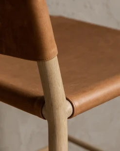 Danson Counter Stool