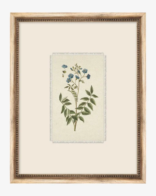 Delicate Floral l