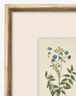 Delicate Floral l