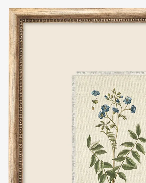 Delicate Floral l