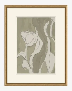 Delicate Tulip II by Rebekah Webb