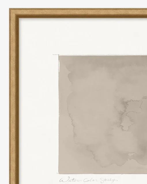Fossil Study