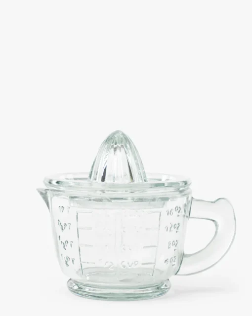 Glass Juicer with Measuring Cup
