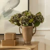 Green Hydrangea Stem