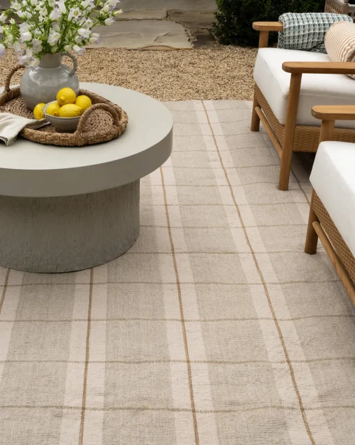 Hanlon Handwoven Indoor/Outdoor Rug