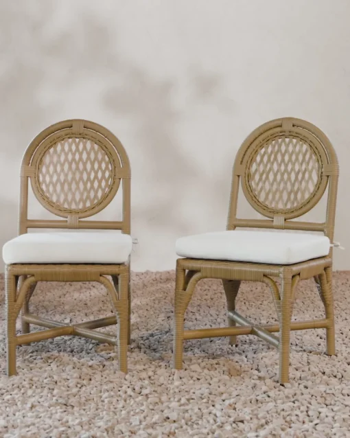 Marisol Indoor/Outdoor Dining Chair (Set of 2)