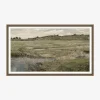 Medlock Meadow