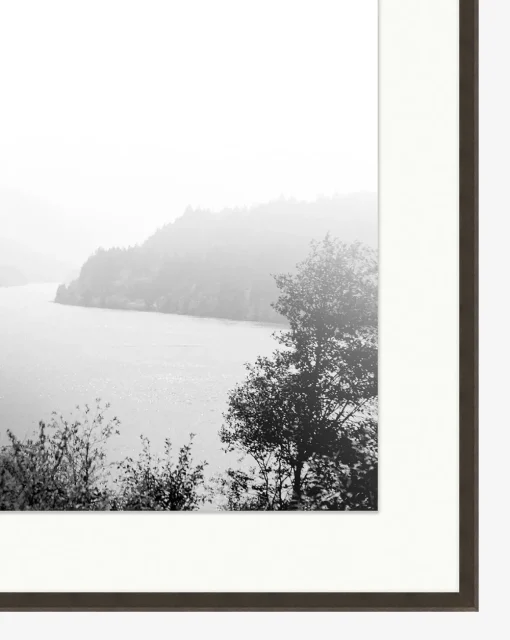 Mist on the Lake