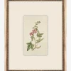 Petite Floral III