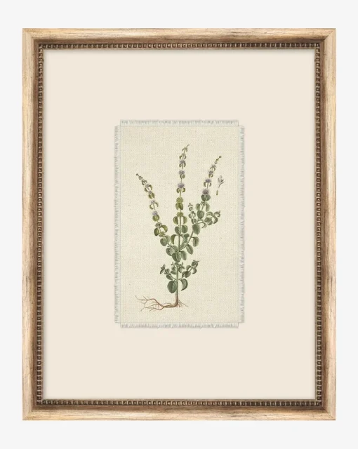 Petite Floral VI