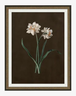 Sepia Sprouts III