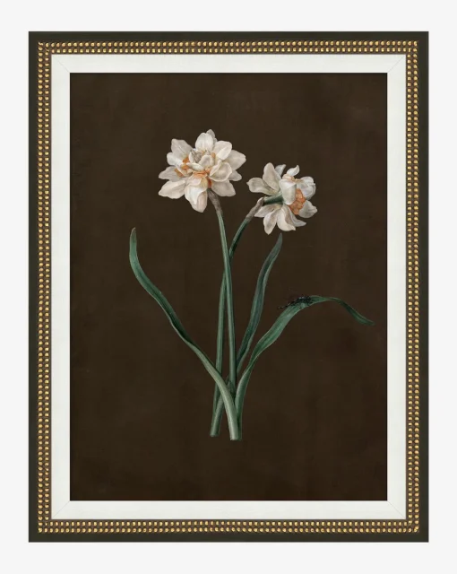 Sepia Sprouts III