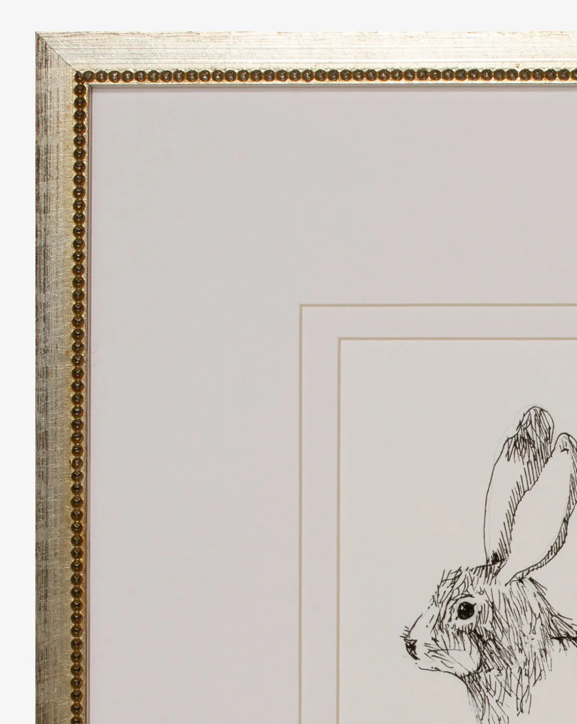 Sketched Bunny I