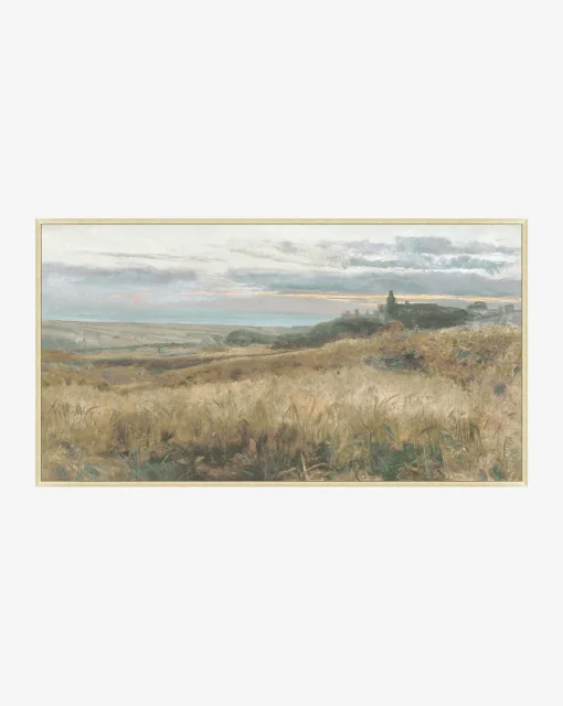 Sunset Fields