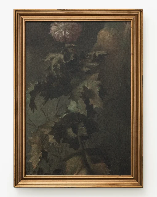 Thistle Down