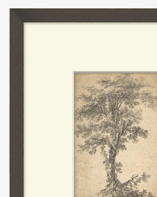 Tree on a Hilltop