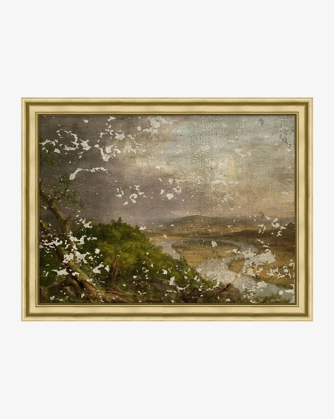 Wanderer's View