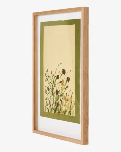 Wildflower Medley by Shaina Page